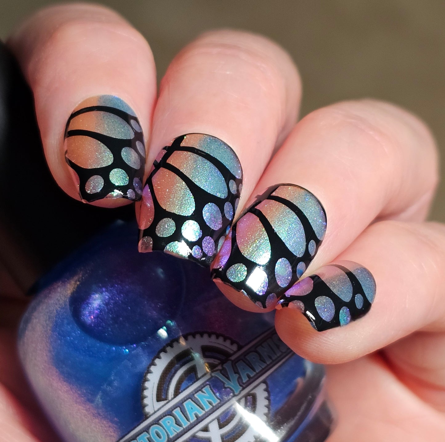 FLUTTER FEST DUO
