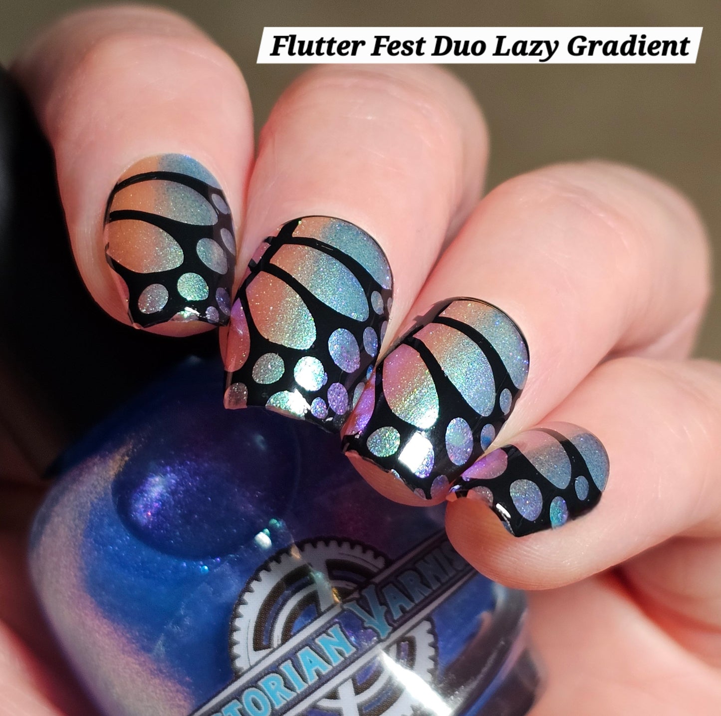 FLUTTER FEST DUO