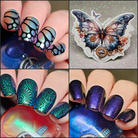 FLUTTER FEST DUO