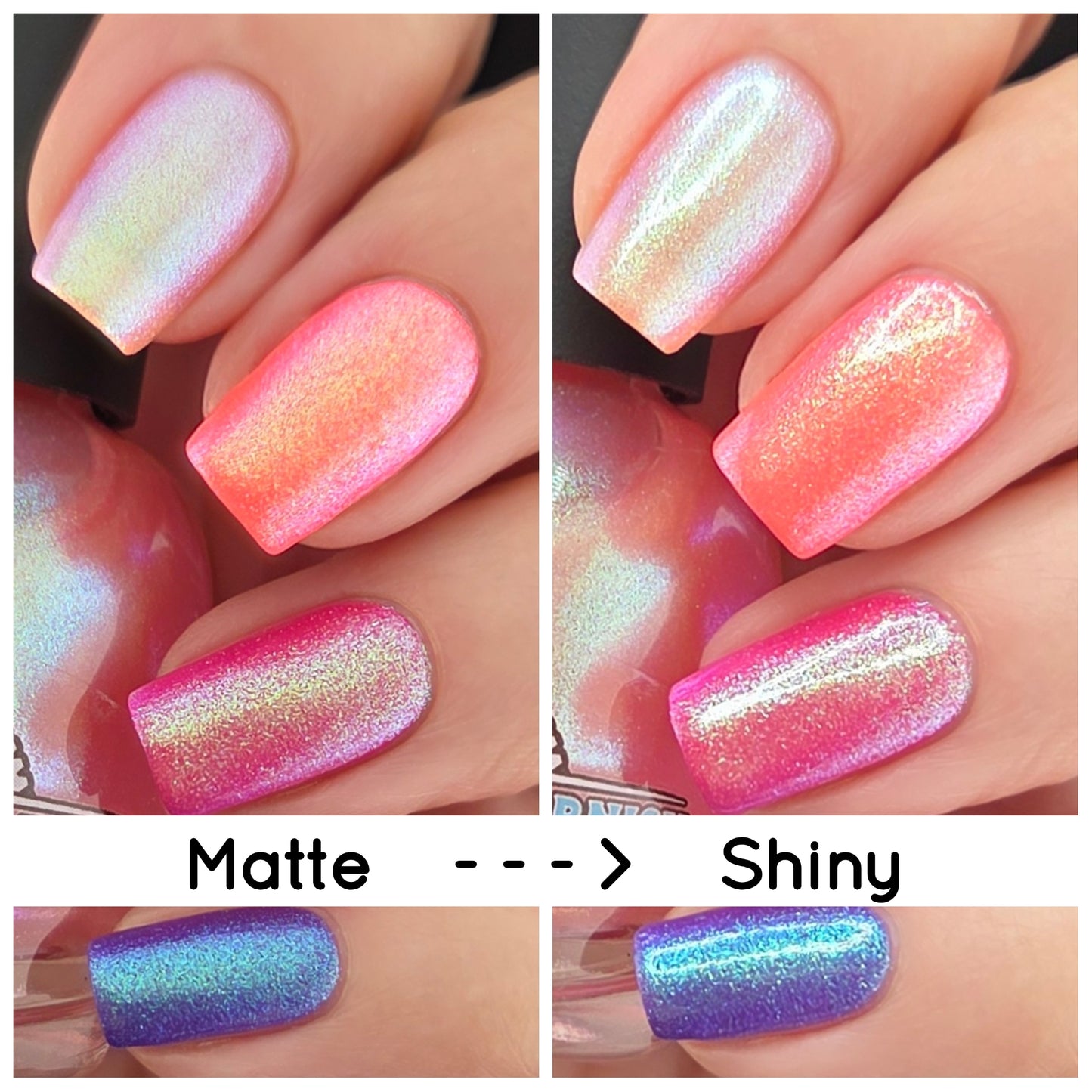 FLUTTER FEST DUO