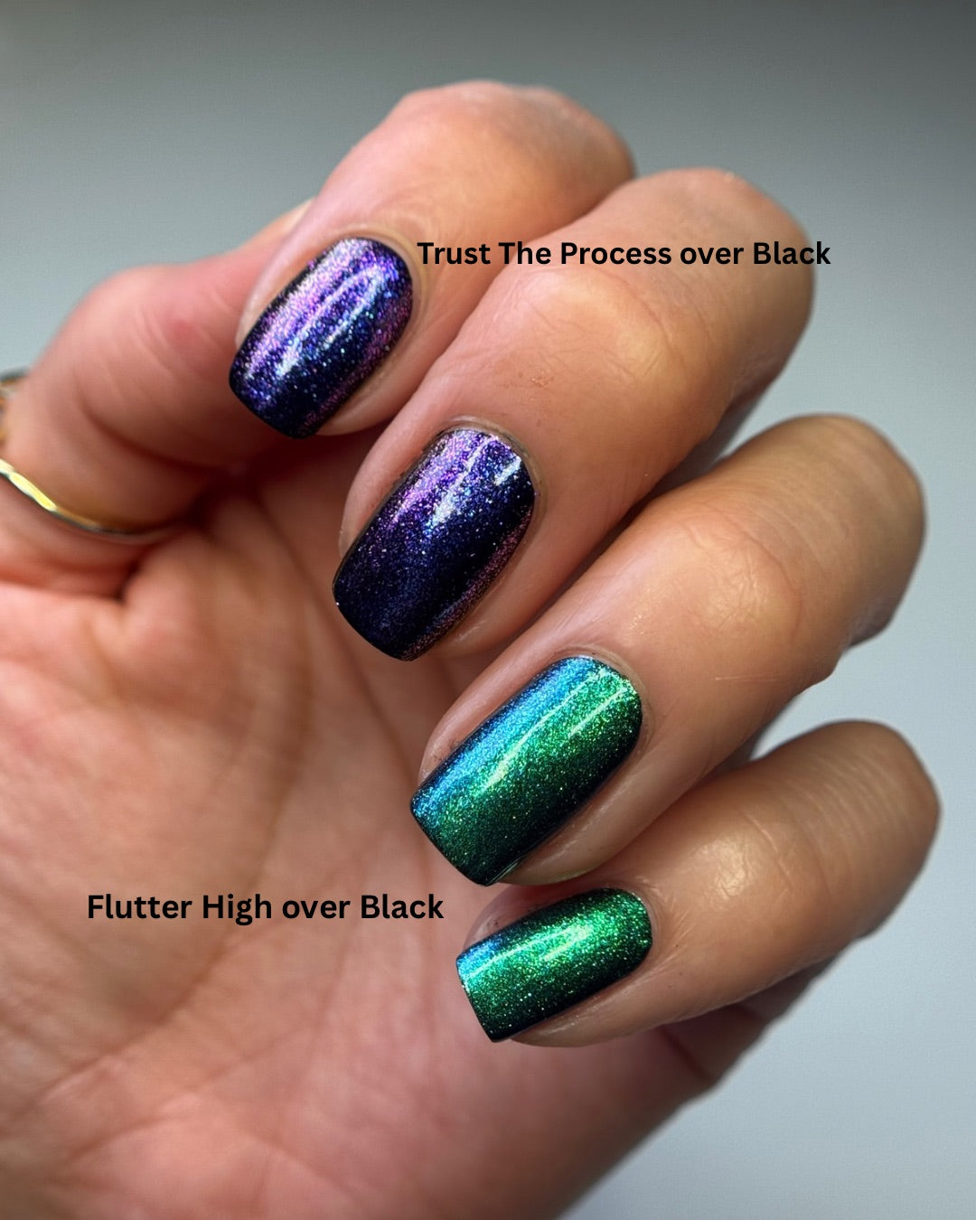 FLUTTER FEST DUO