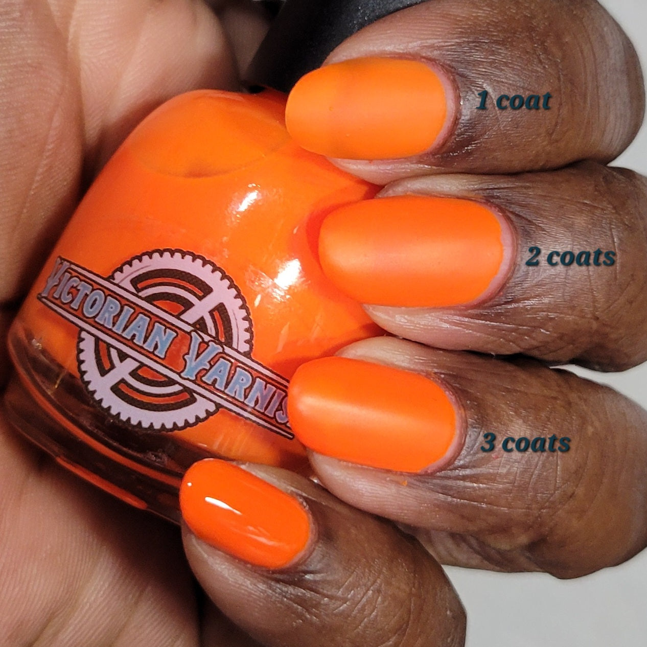 PREVIEW - JAZZED JELLIES (80s NEON EDITION)