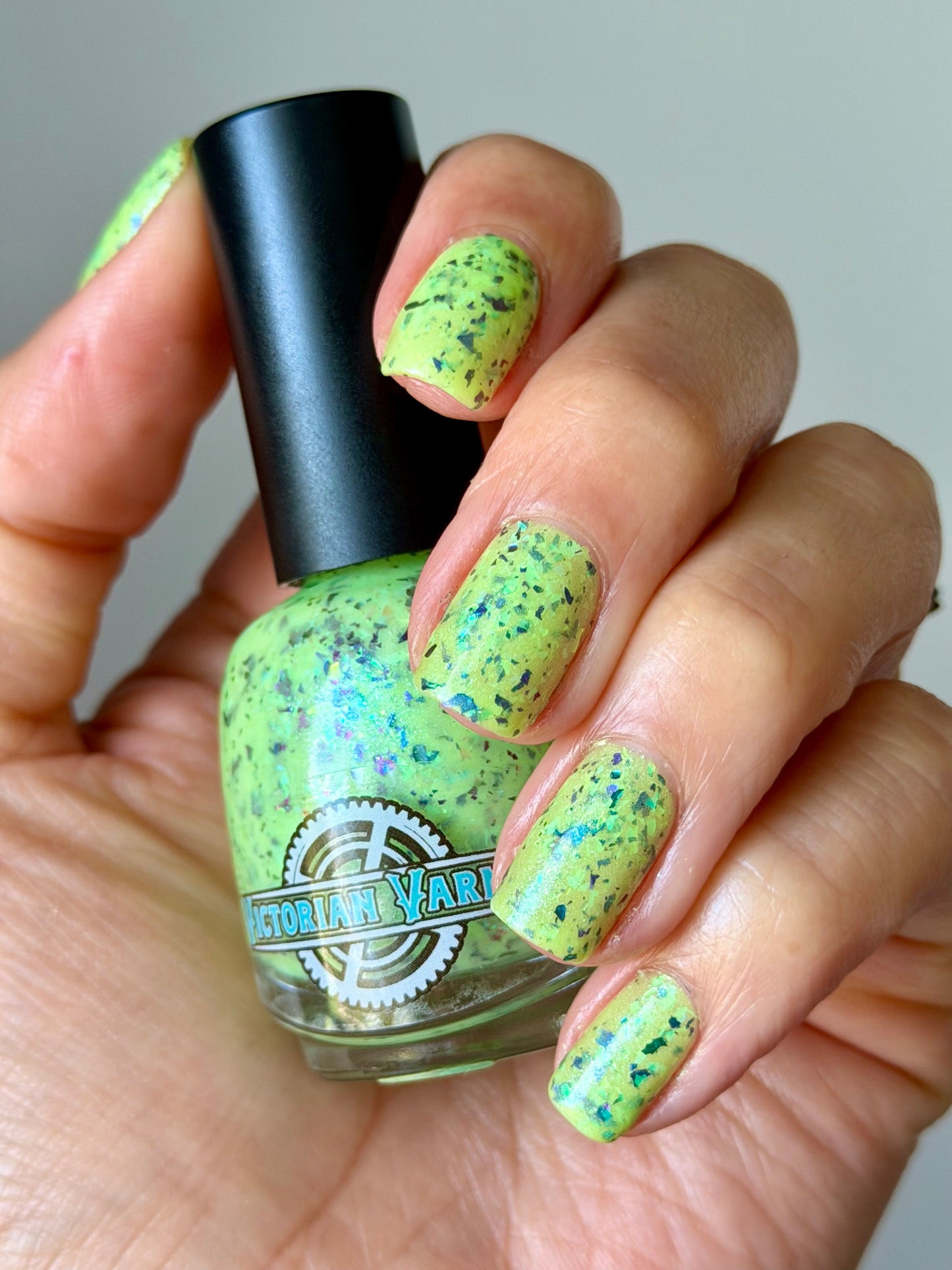BOO IN JUNE (COLLAB. WITH PRETTY FINGERS BY ROBIN)