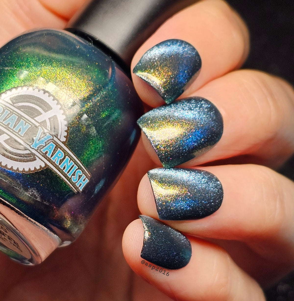 MIDNIGHT MYSTIC HYACINTH