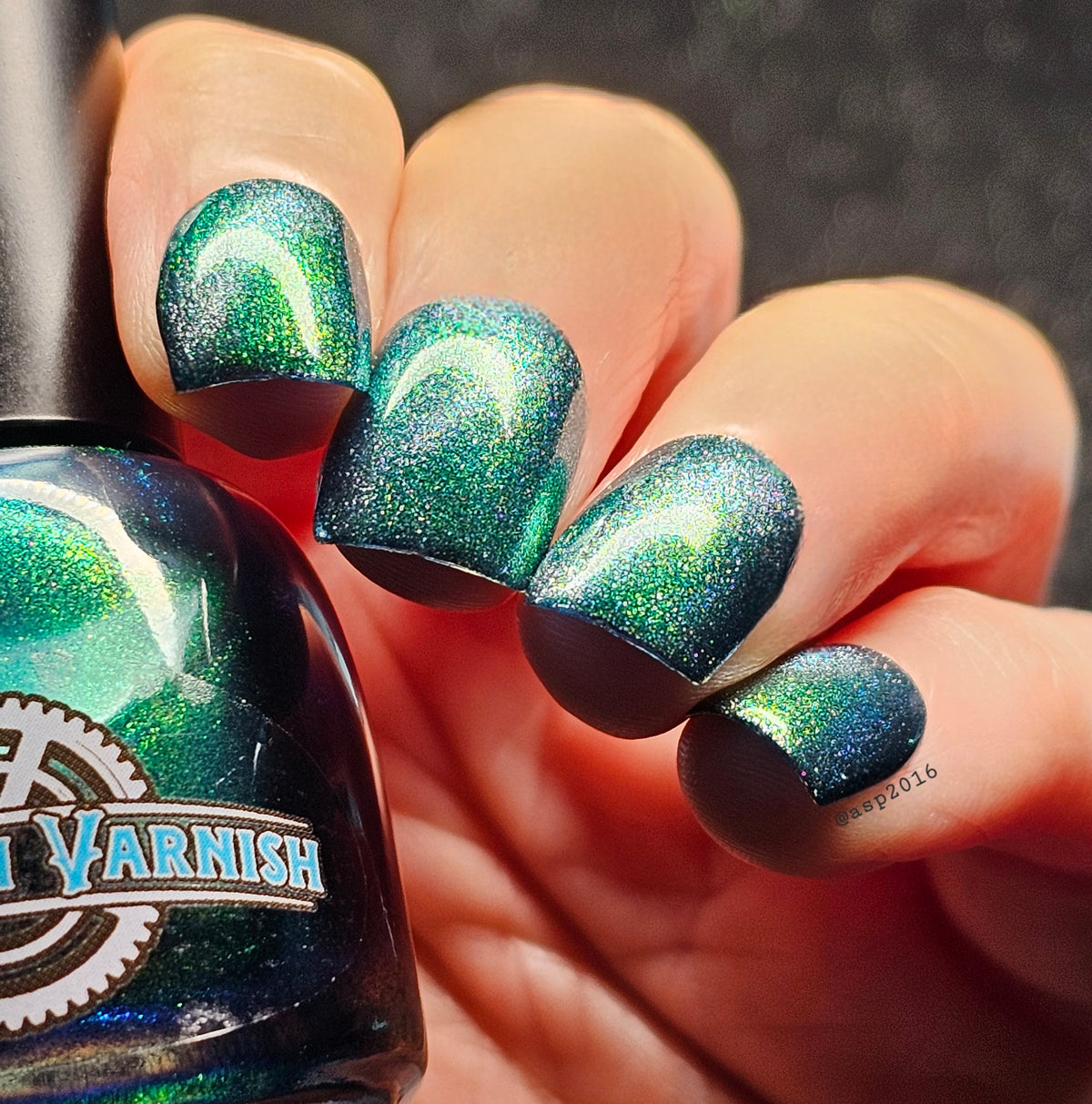 MIDNIGHT MYSTIC HYACINTH
