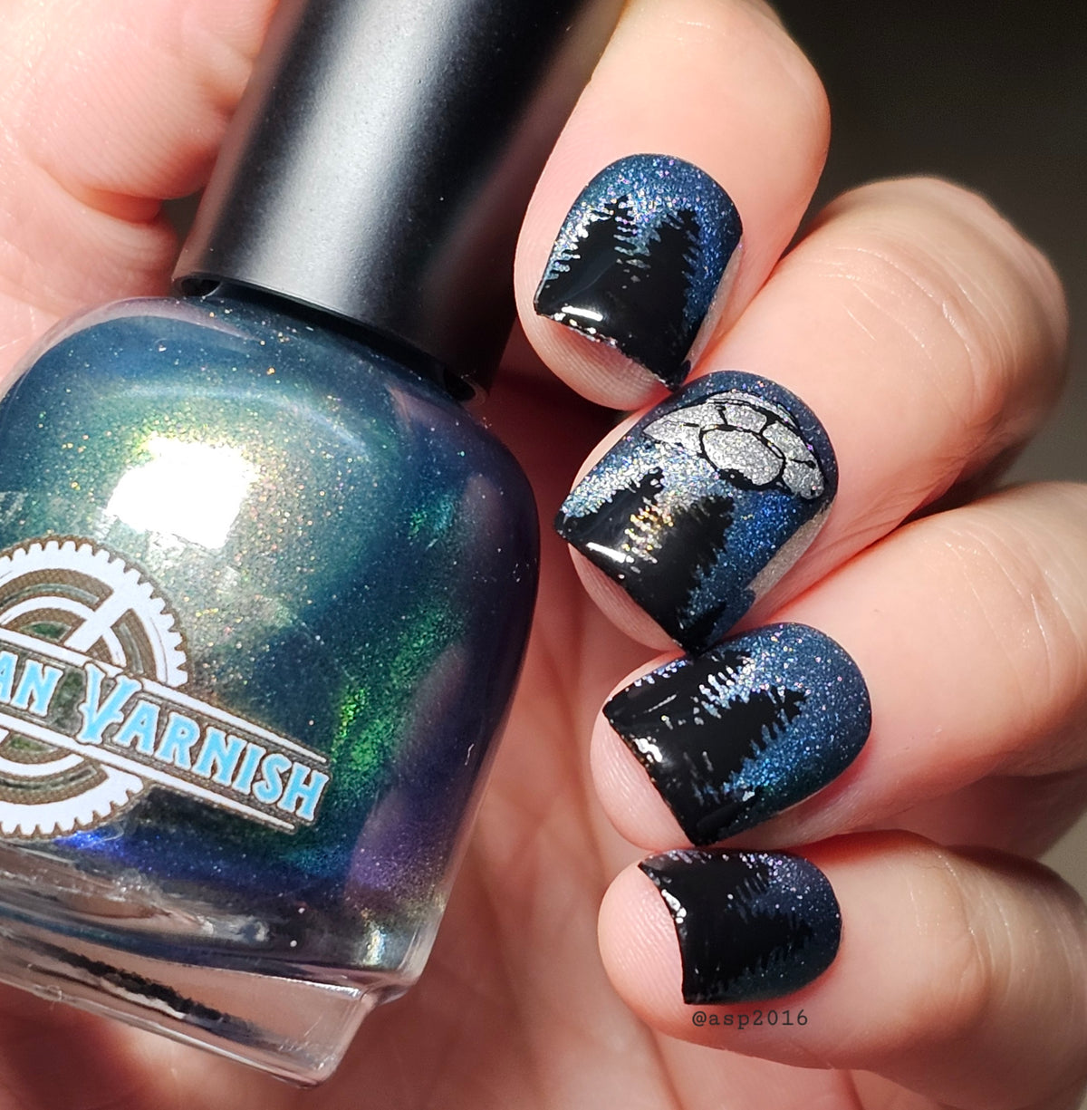 MIDNIGHT MYSTIC HYACINTH
