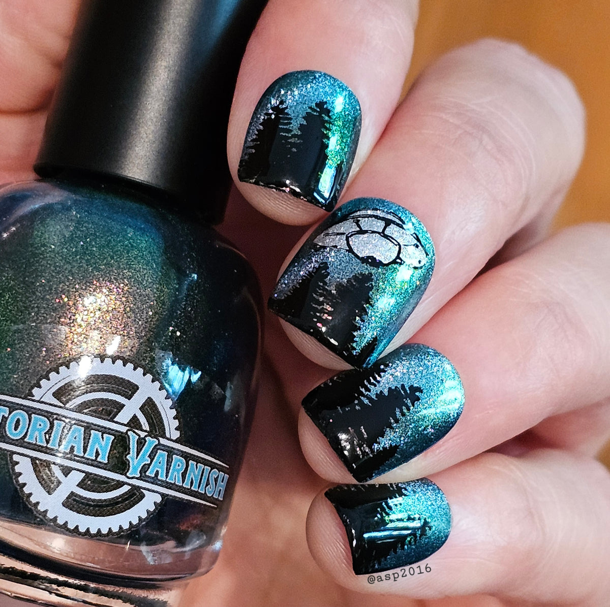 MIDNIGHT MYSTIC HYACINTH
