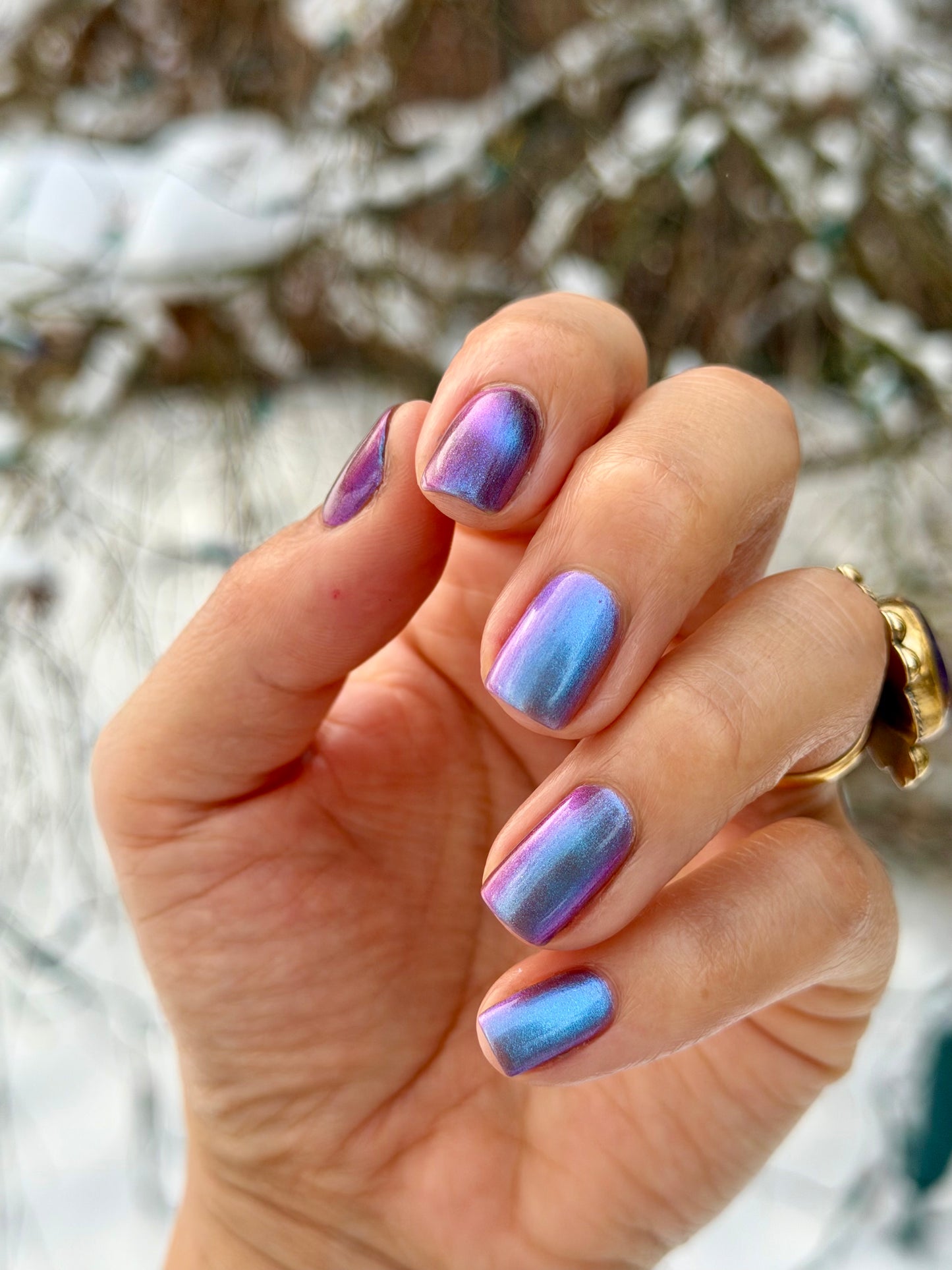 BUY ALL THE MILK & BREAD (MAGNETIC)