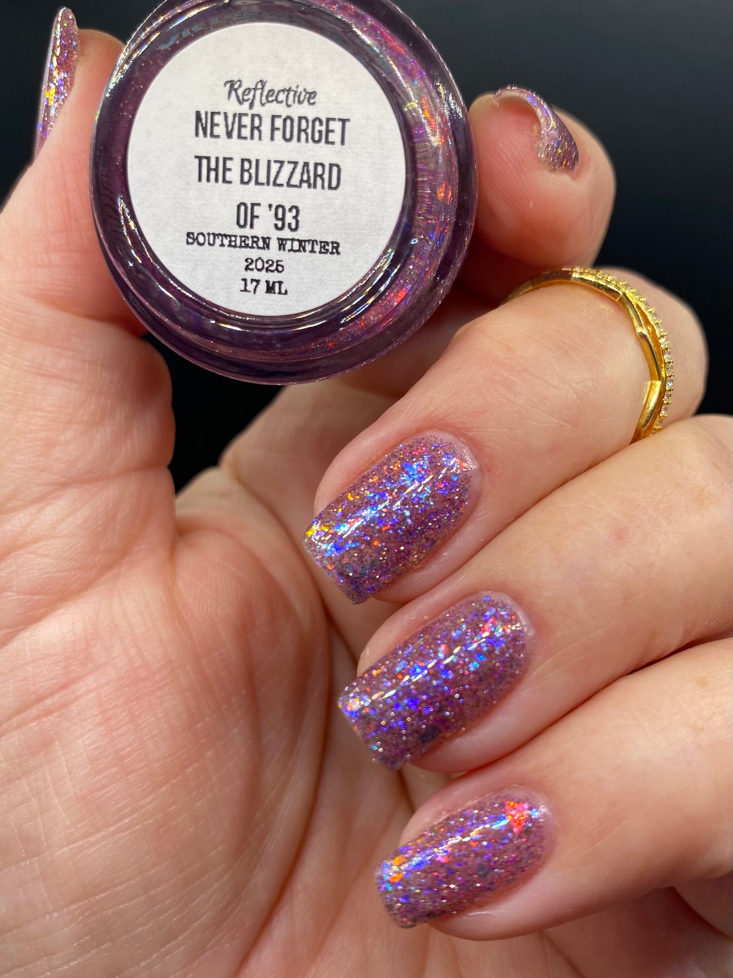 NEVER FORGET THE BLIZZARD OF '93 (REFLECTIVE)