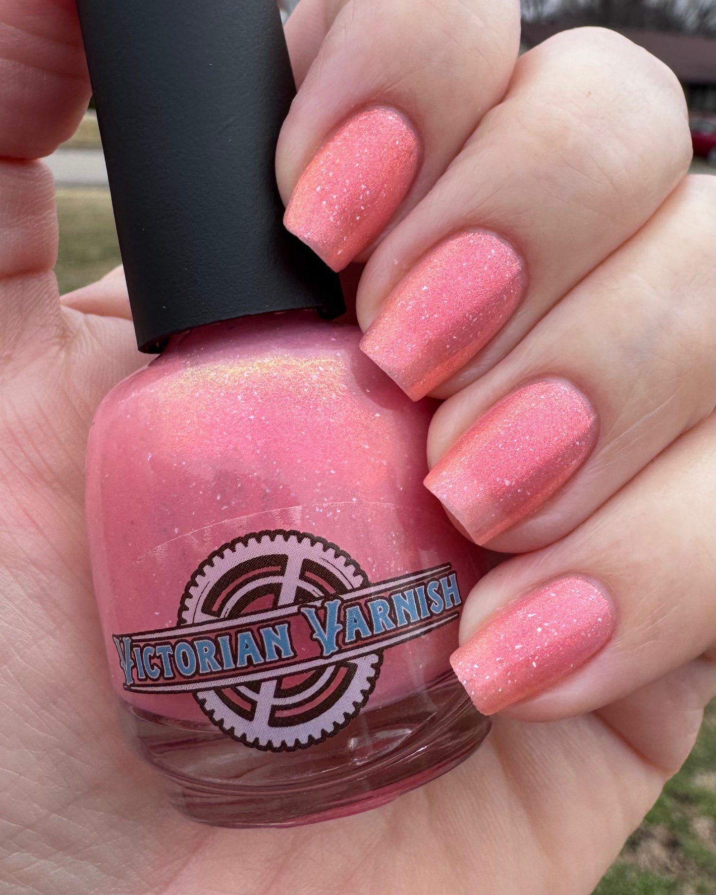 LUSTY DUST ONTO THE STIGMA