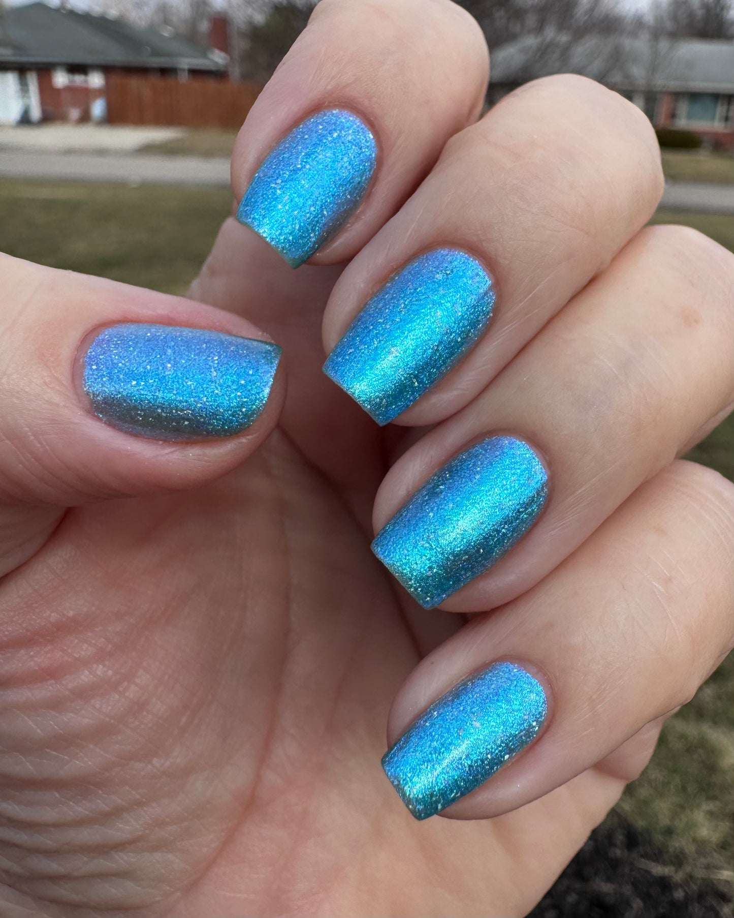 PHOTO-PERIODIC REACTION