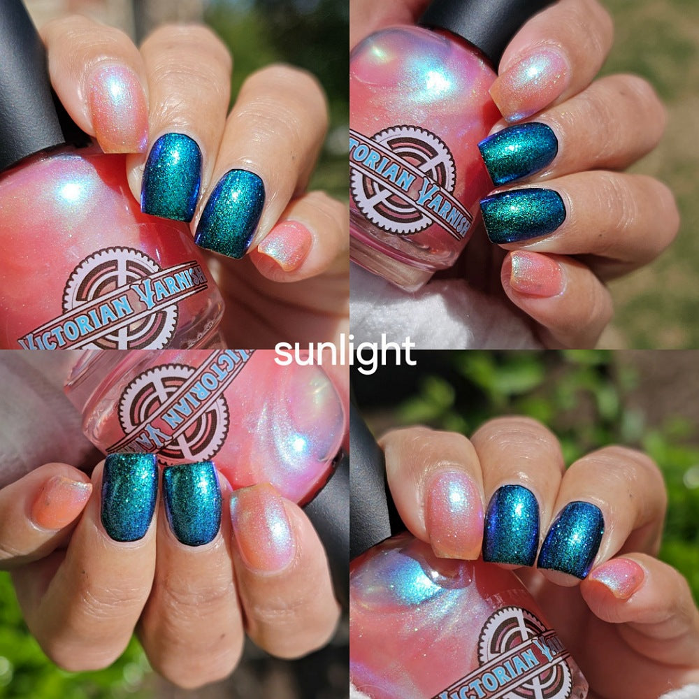 FLUTTER FEST DUO