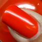 R.A.I.N.B.O.W. JELLIES