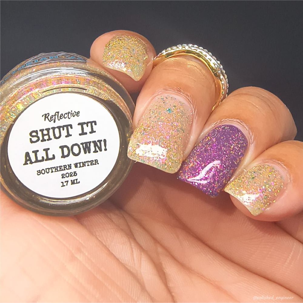 SHUT IT ALL DOWN (REFLECTIVE)