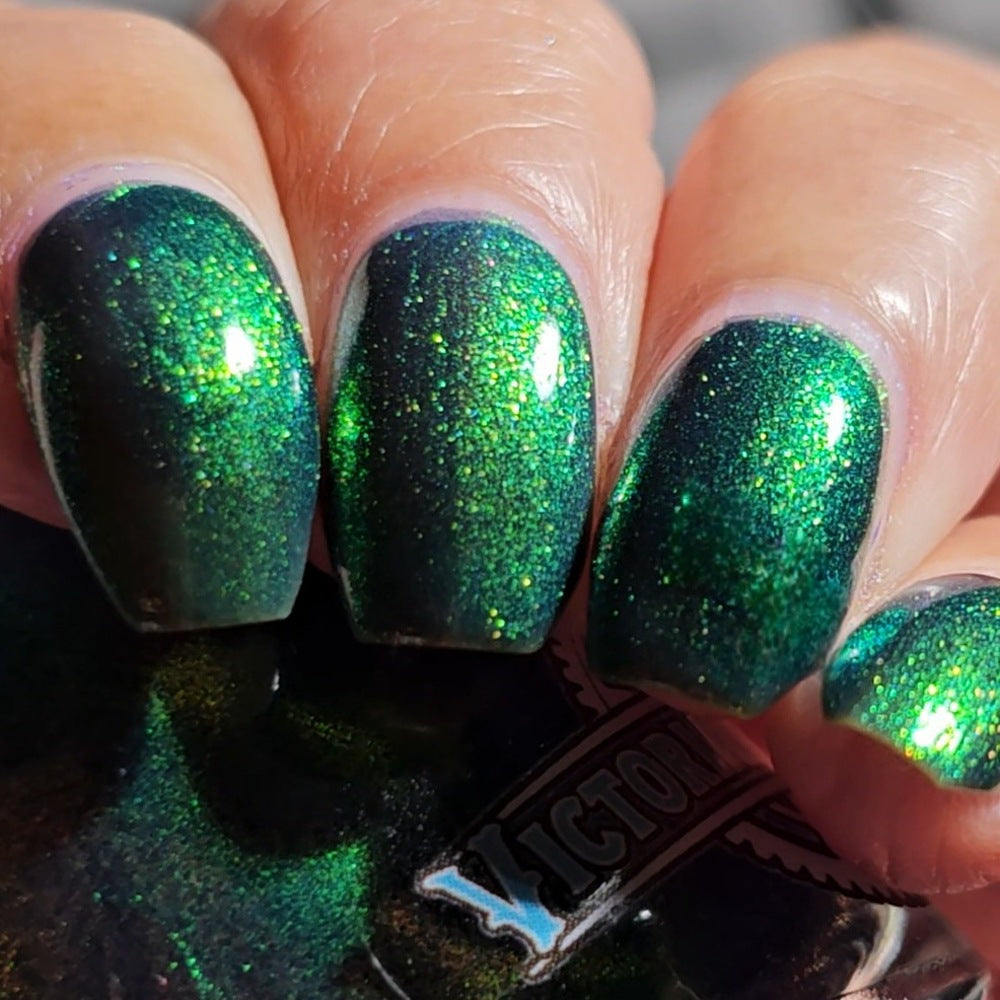 MIDNIGHT MYSTIC HYACINTH