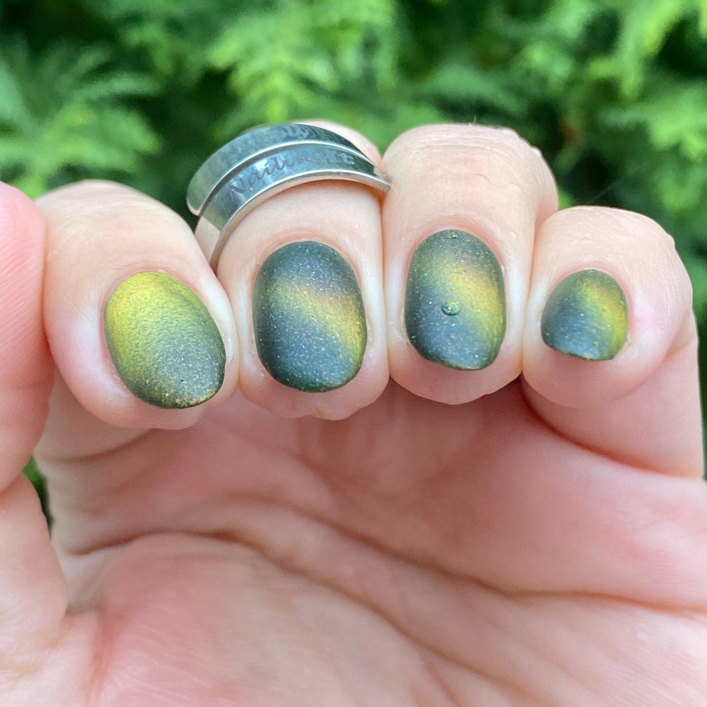 I FIRE ROASTED THE LEAVES (MAGNETIC) NOV COG OF THE MONTH