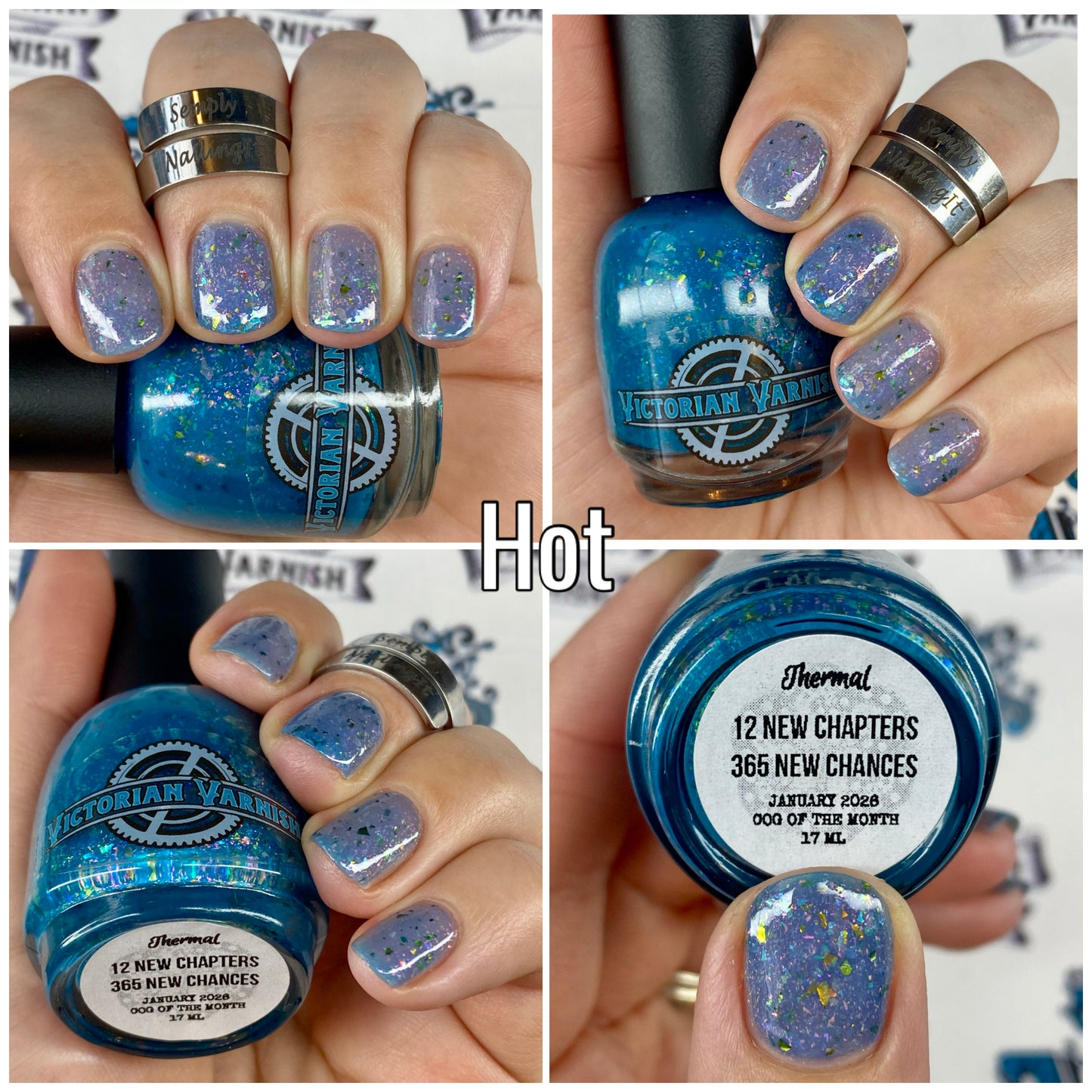 12 NEW CHAPTERS - 365 NEW CHANCES JANUARY 2026 COG OF THE MONTH