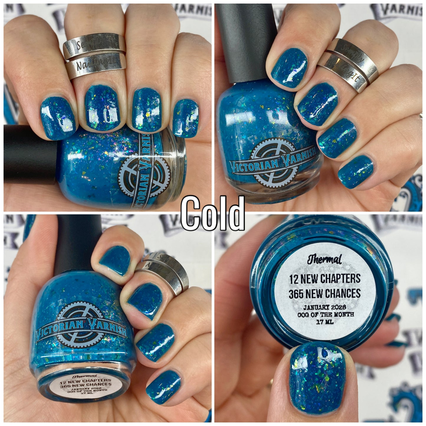 12 NEW CHAPTERS - 365 NEW CHANCES JANUARY 2026 COG OF THE MONTH