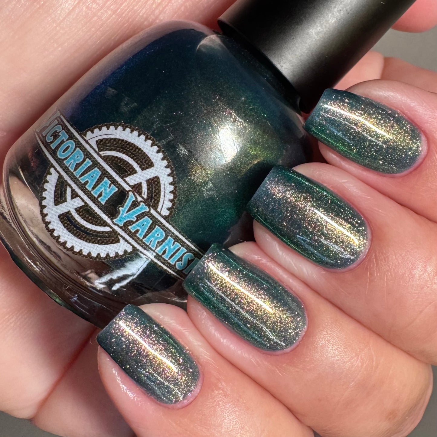 MIDNIGHT MYSTIC HYACINTH