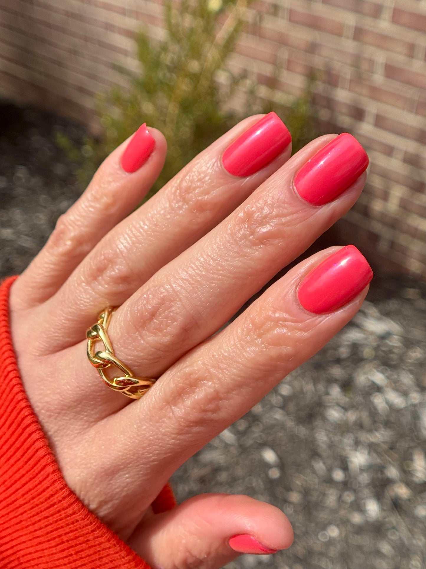 SPRING IS THE TIME TO CORAL-ATE