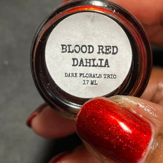 BLOOD RED DAHLIA
