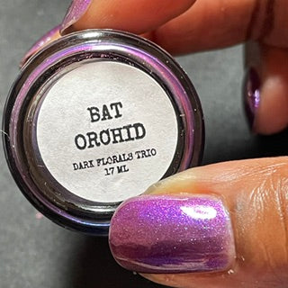 BAT ORCHID