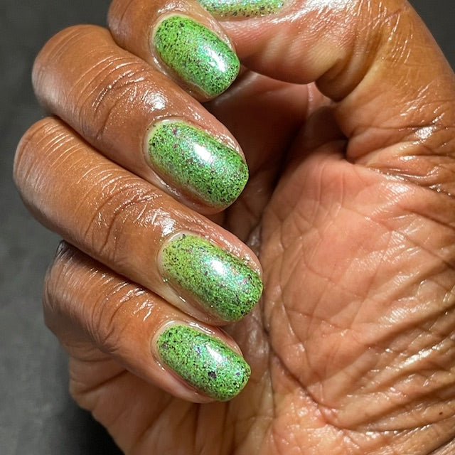SPIKES & SCALES (Reflective) JUNE COG OF THE MONTH