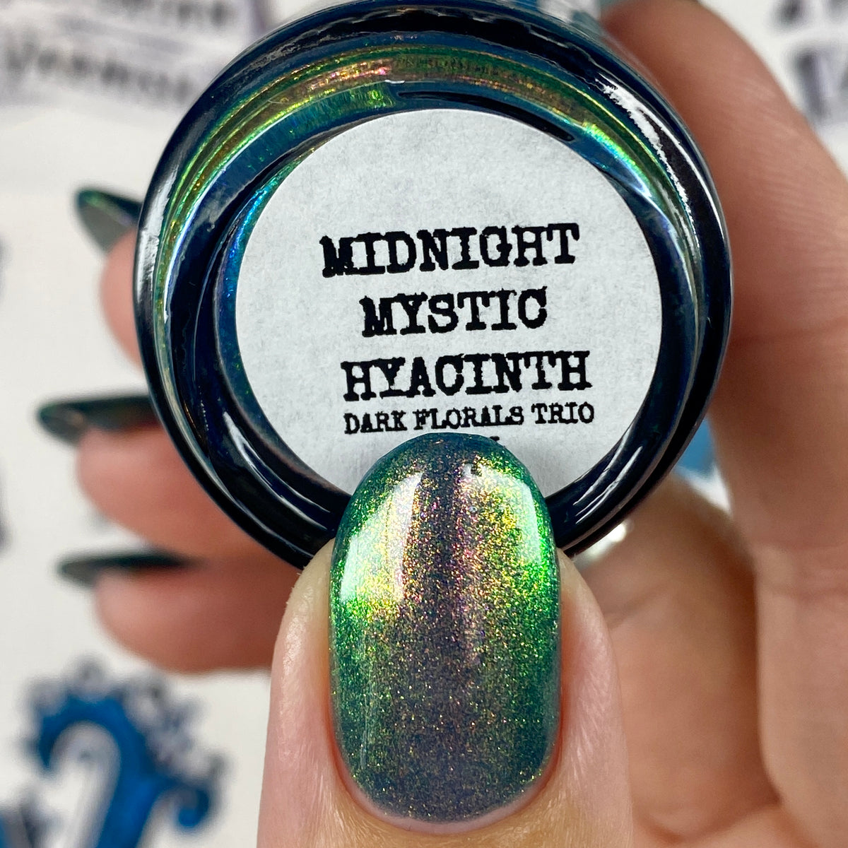 MIDNIGHT MYSTIC HYACINTH