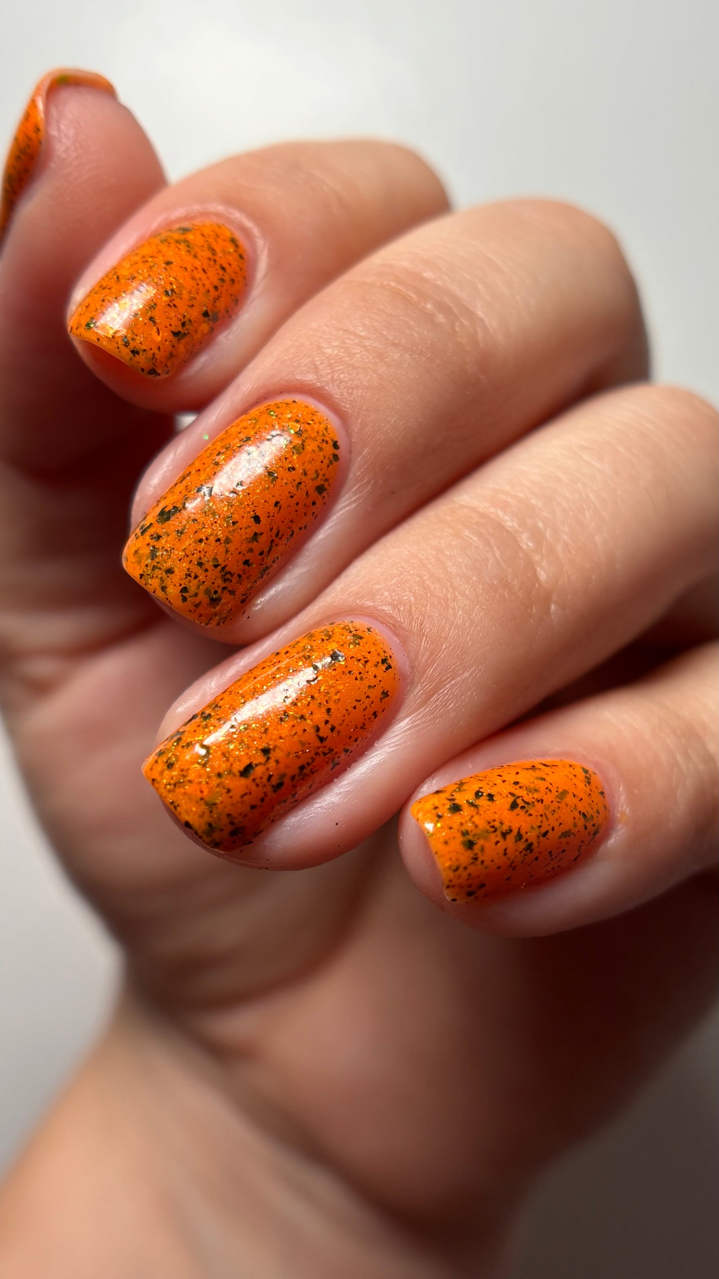 SPICY PUNKIN'