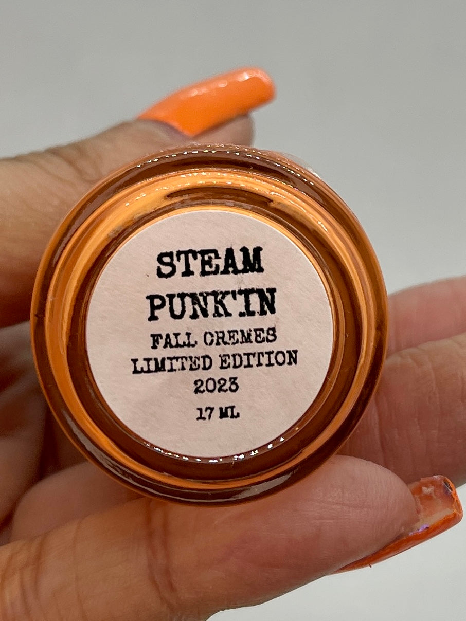STEAM PUNK'IN