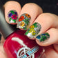 R.A.I.N.B.O.W. JELLIES