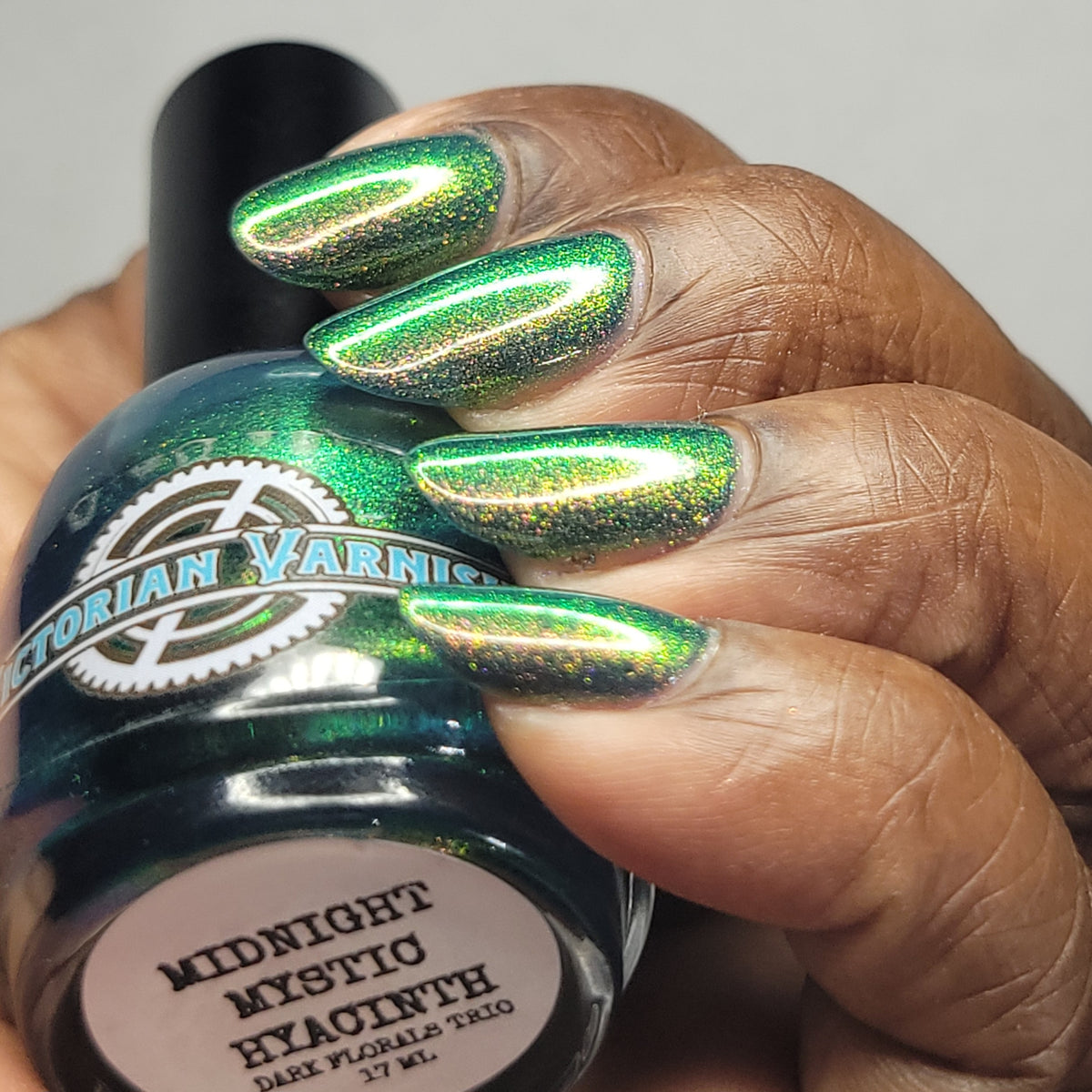 MIDNIGHT MYSTIC HYACINTH
