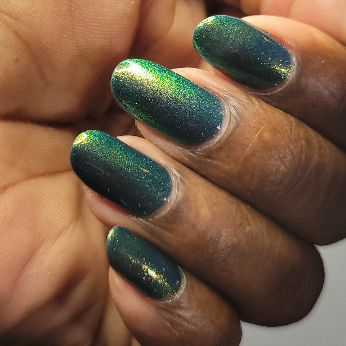 MIDNIGHT MYSTIC HYACINTH