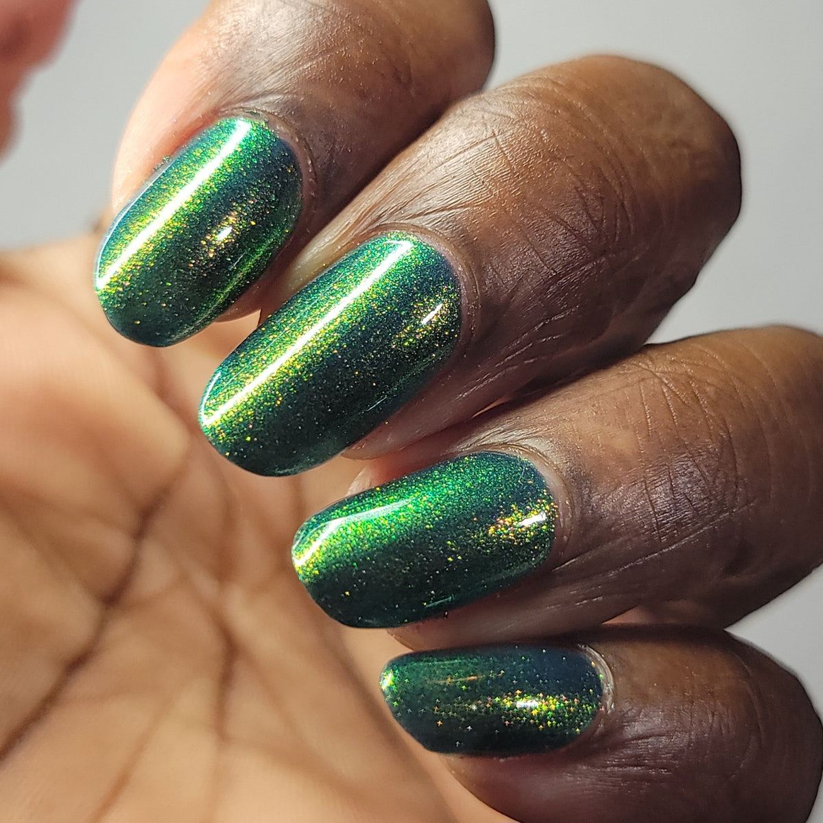 MIDNIGHT MYSTIC HYACINTH