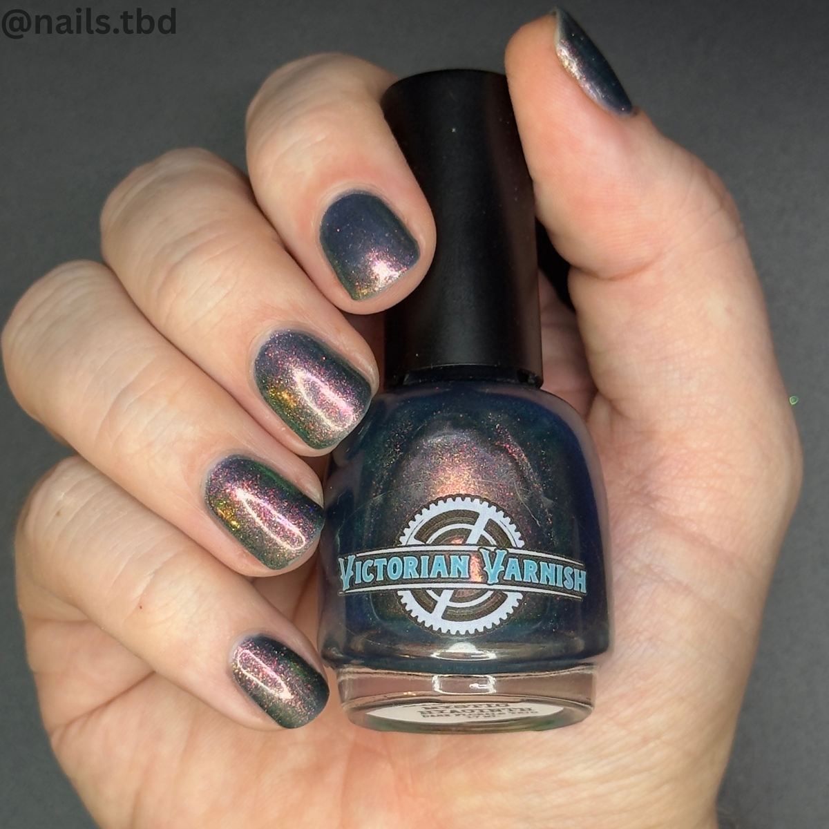 MIDNIGHT MYSTIC HYACINTH