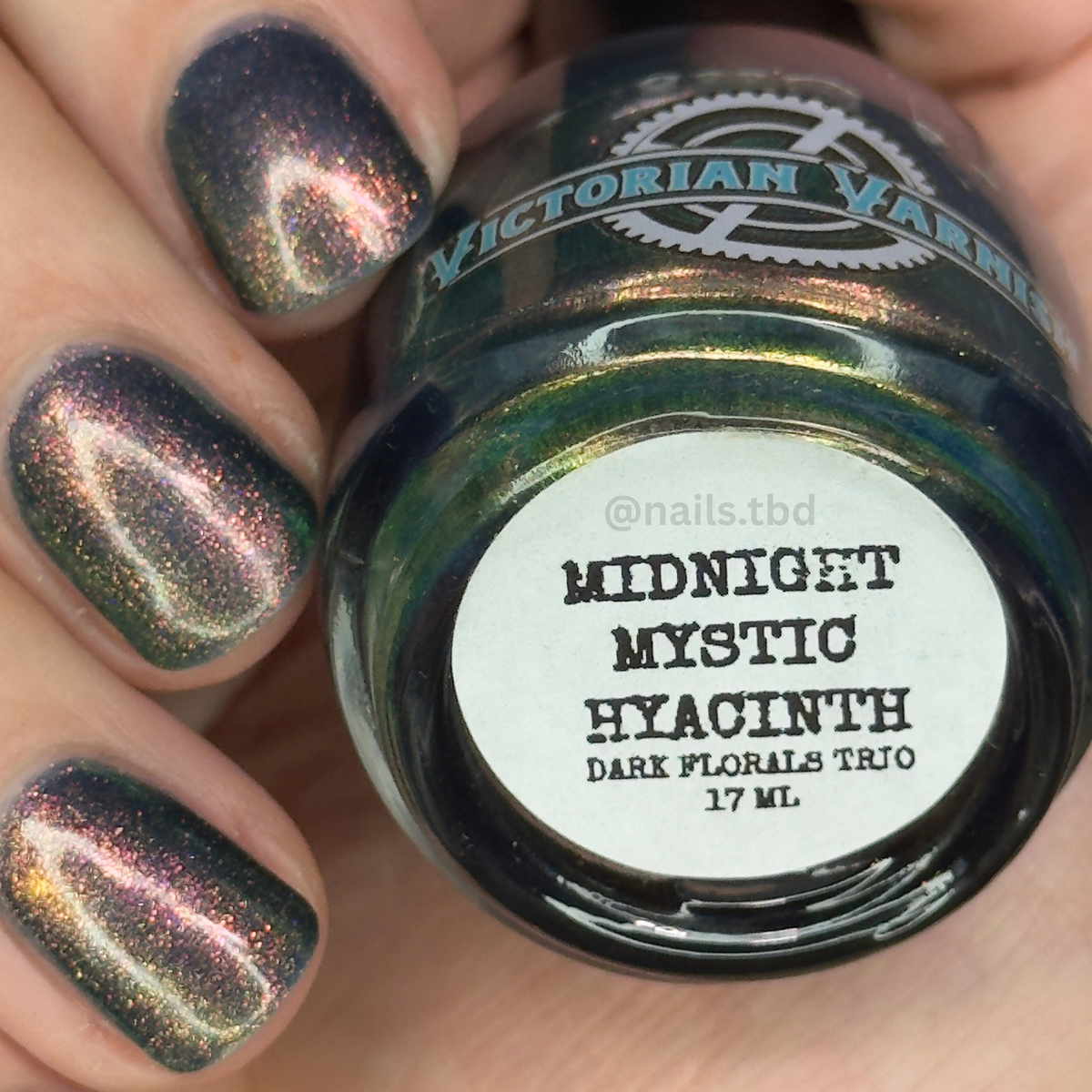 MIDNIGHT MYSTIC HYACINTH