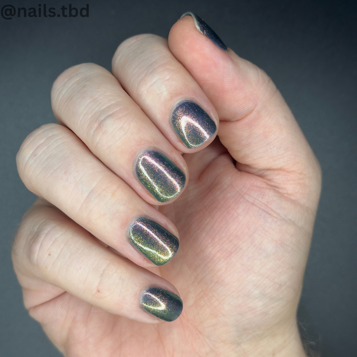 MIDNIGHT MYSTIC HYACINTH