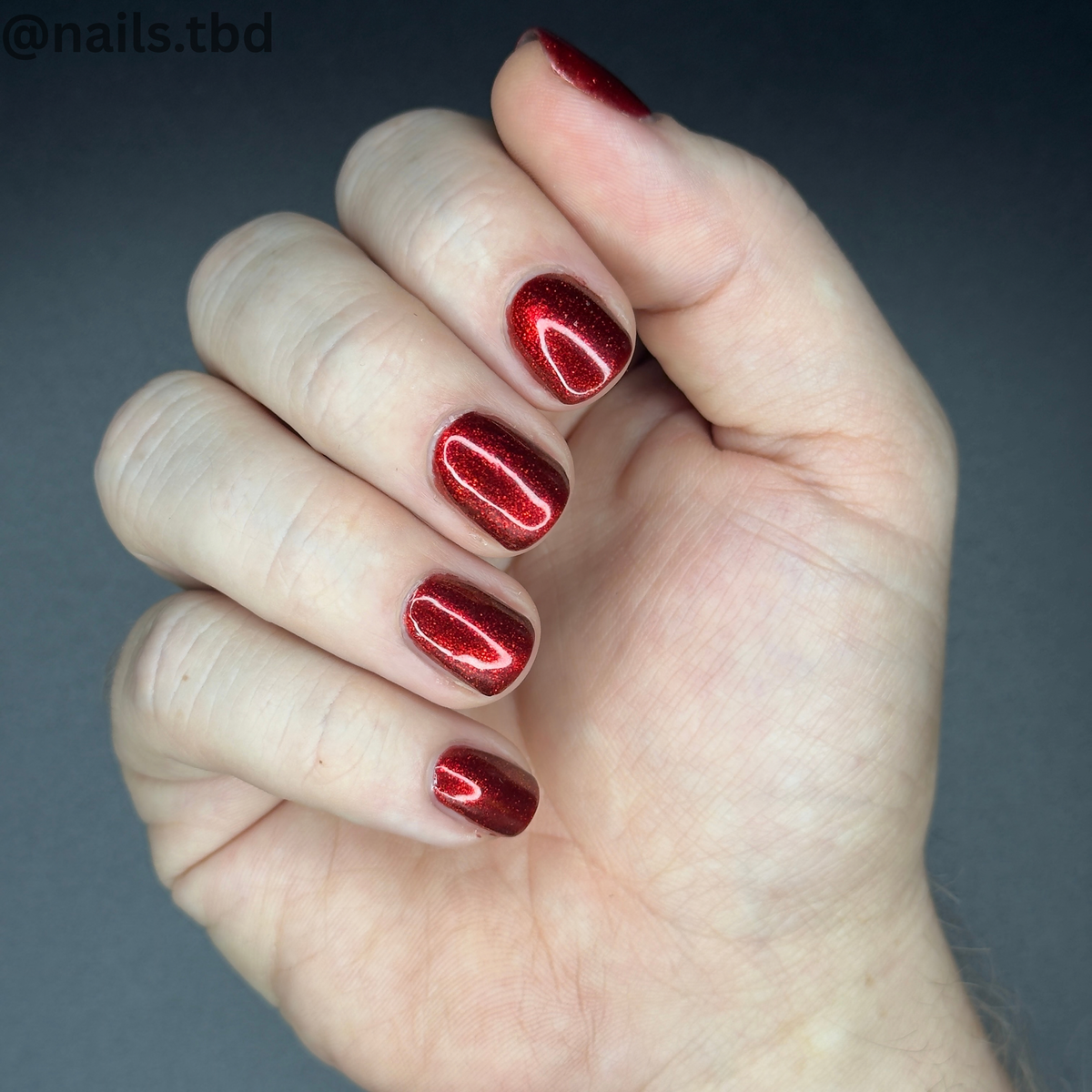 BLOOD RED DAHLIA