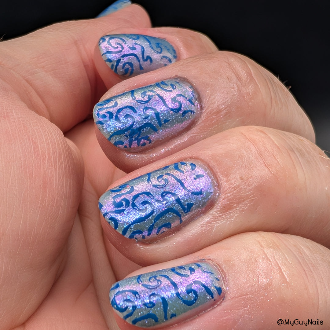 FLUTTER FEST DUO