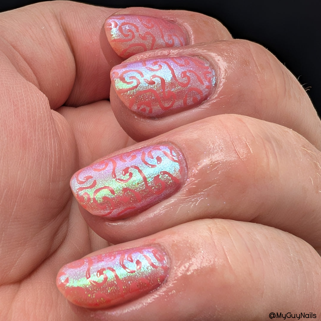 FLUTTER FEST DUO