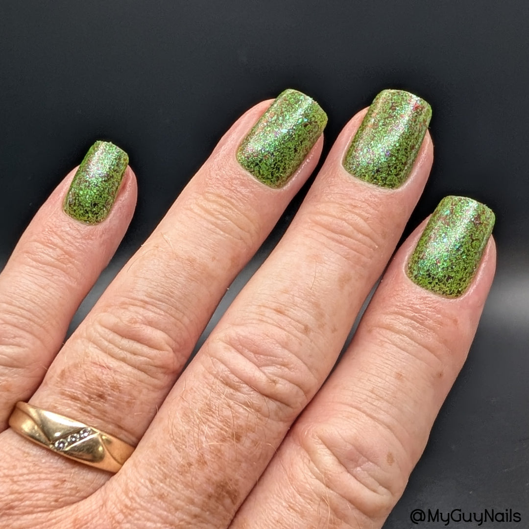 SPIKES & SCALES (Reflective) JUNE COG OF THE MONTH