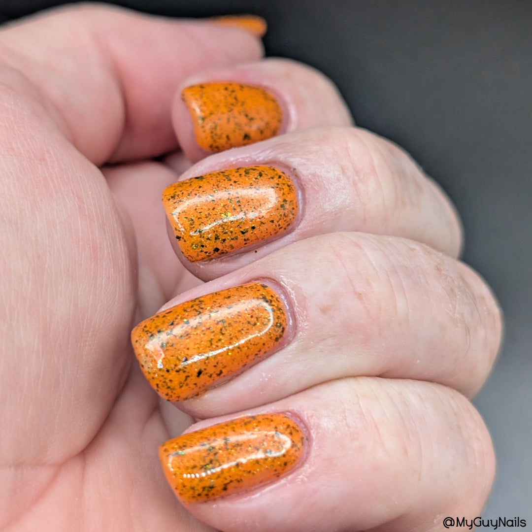 SPICY PUNKIN'