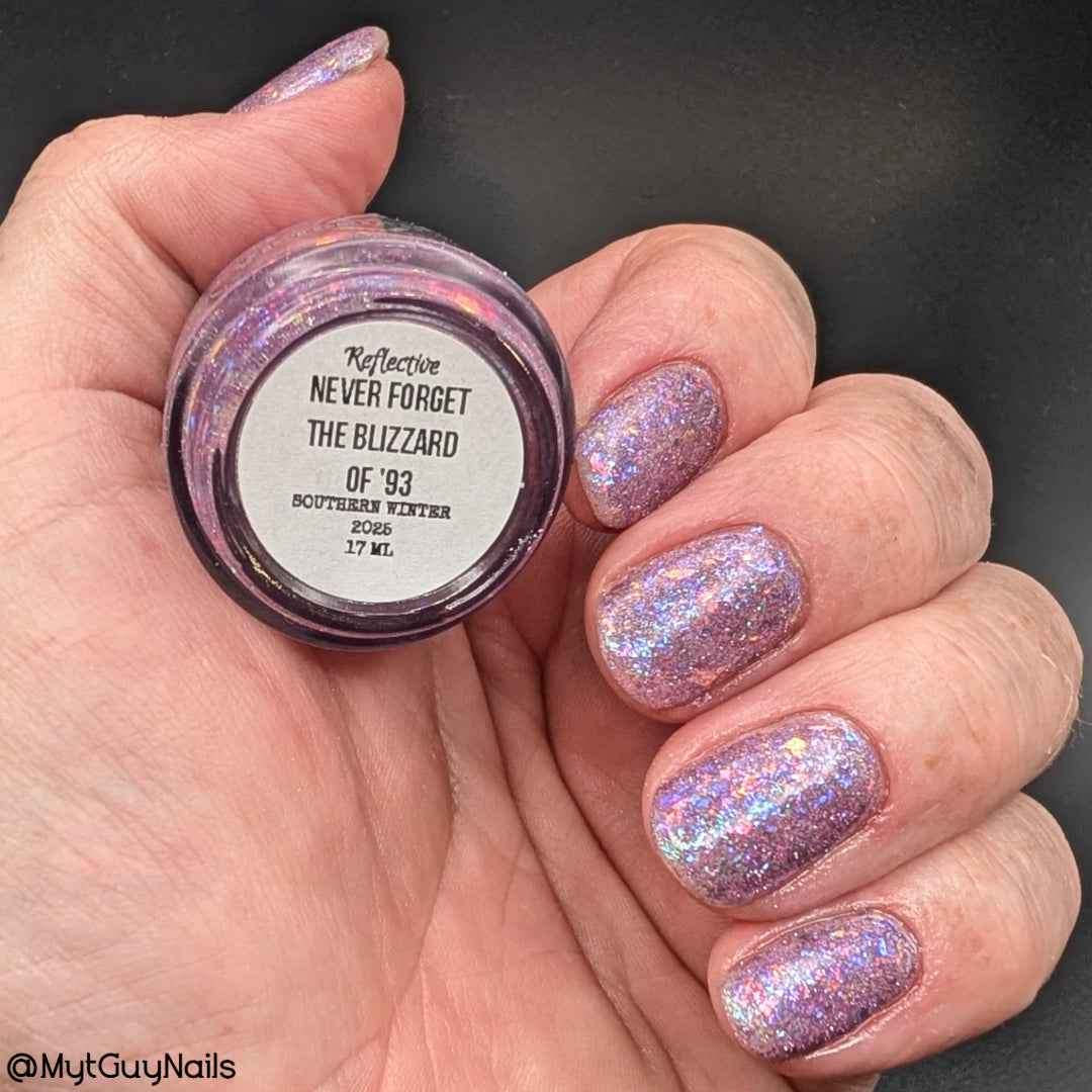 NEVER FORGET THE BLIZZARD OF '93 (REFLECTIVE)