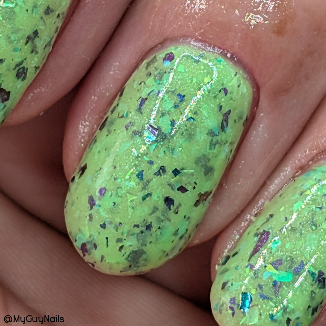 BOO IN JUNE (COLLAB. WITH PRETTY FINGERS BY ROBIN)