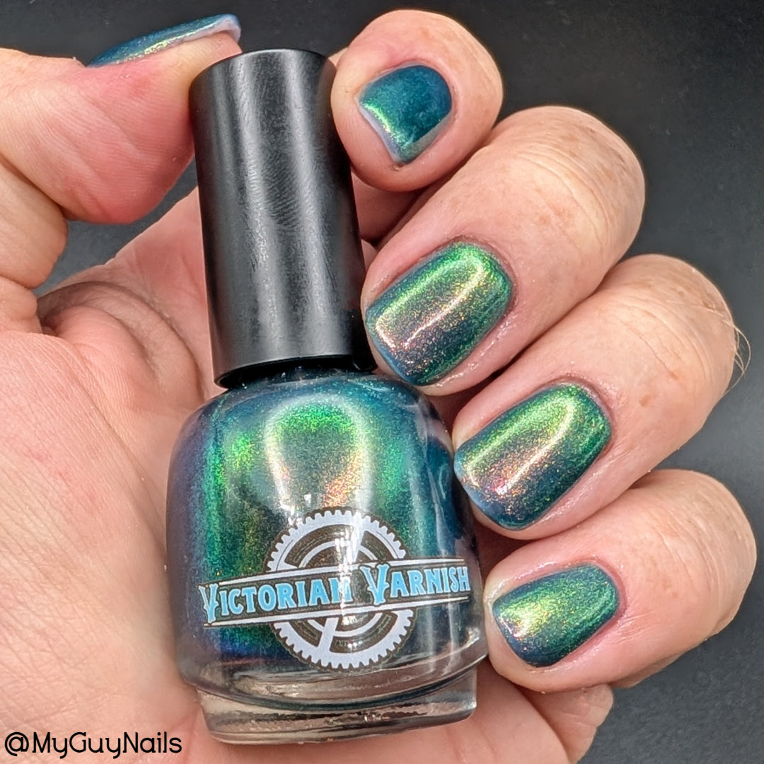 MIDNIGHT MYSTIC HYACINTH
