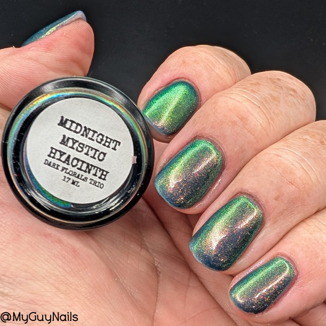 MIDNIGHT MYSTIC HYACINTH