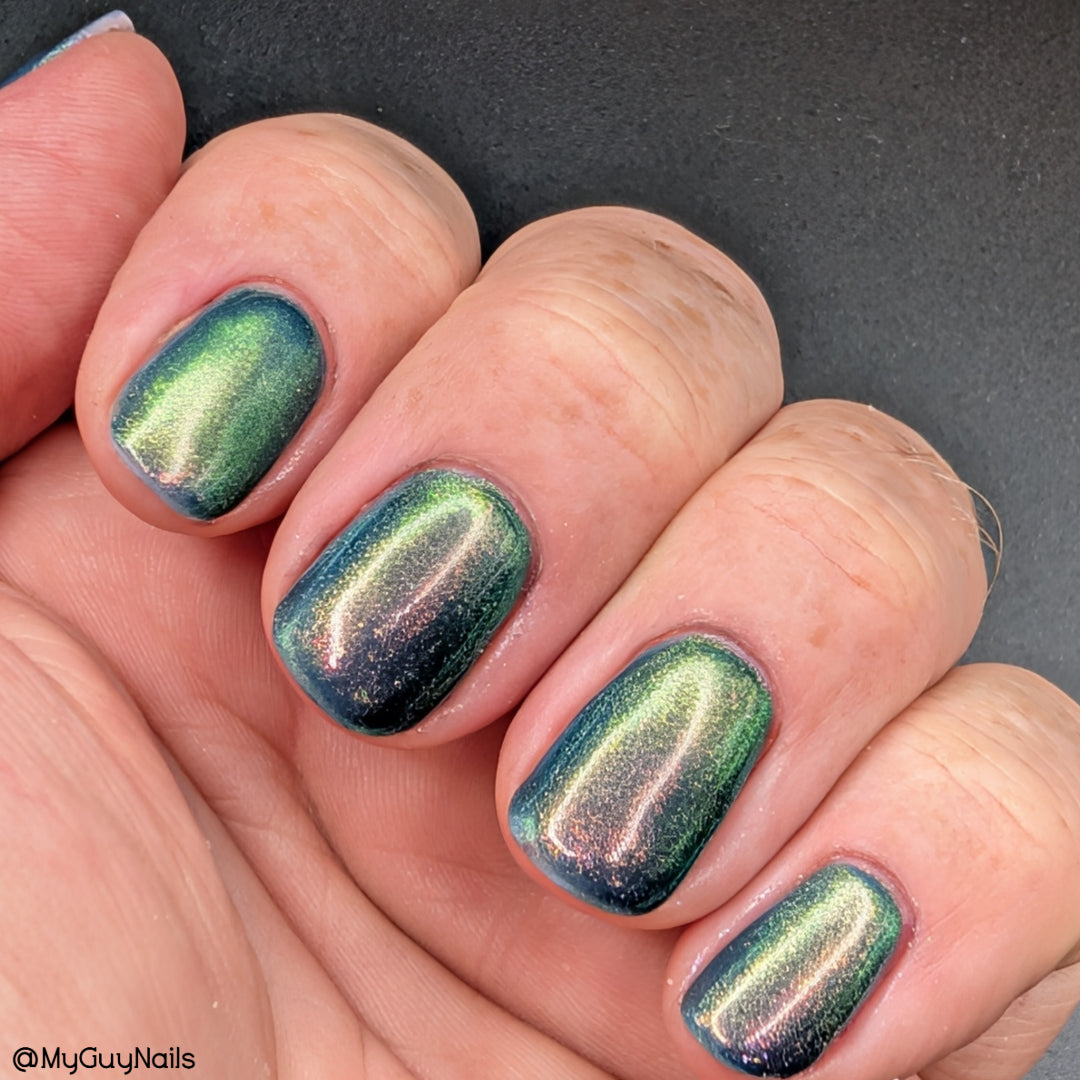 MIDNIGHT MYSTIC HYACINTH