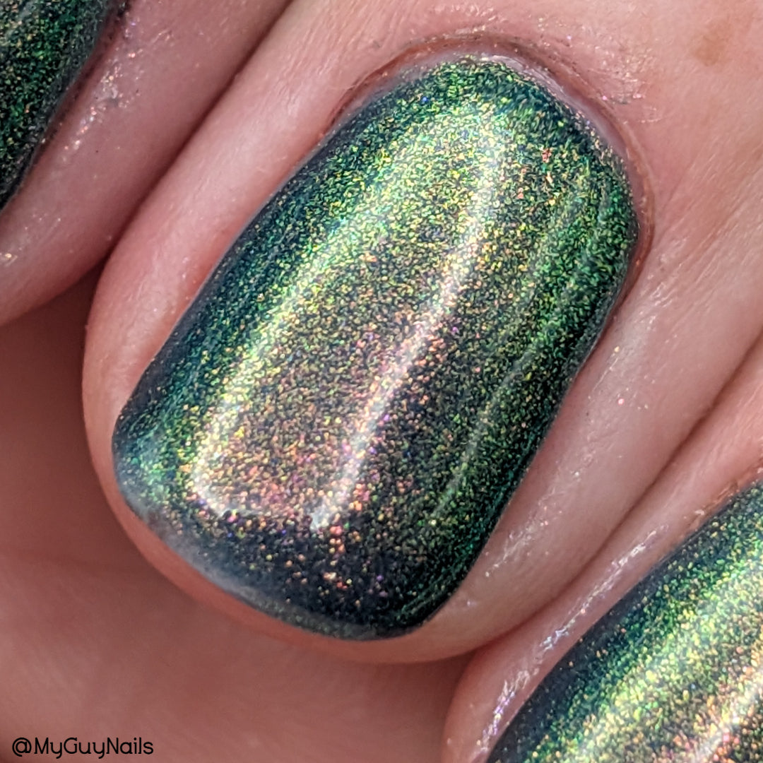MIDNIGHT MYSTIC HYACINTH
