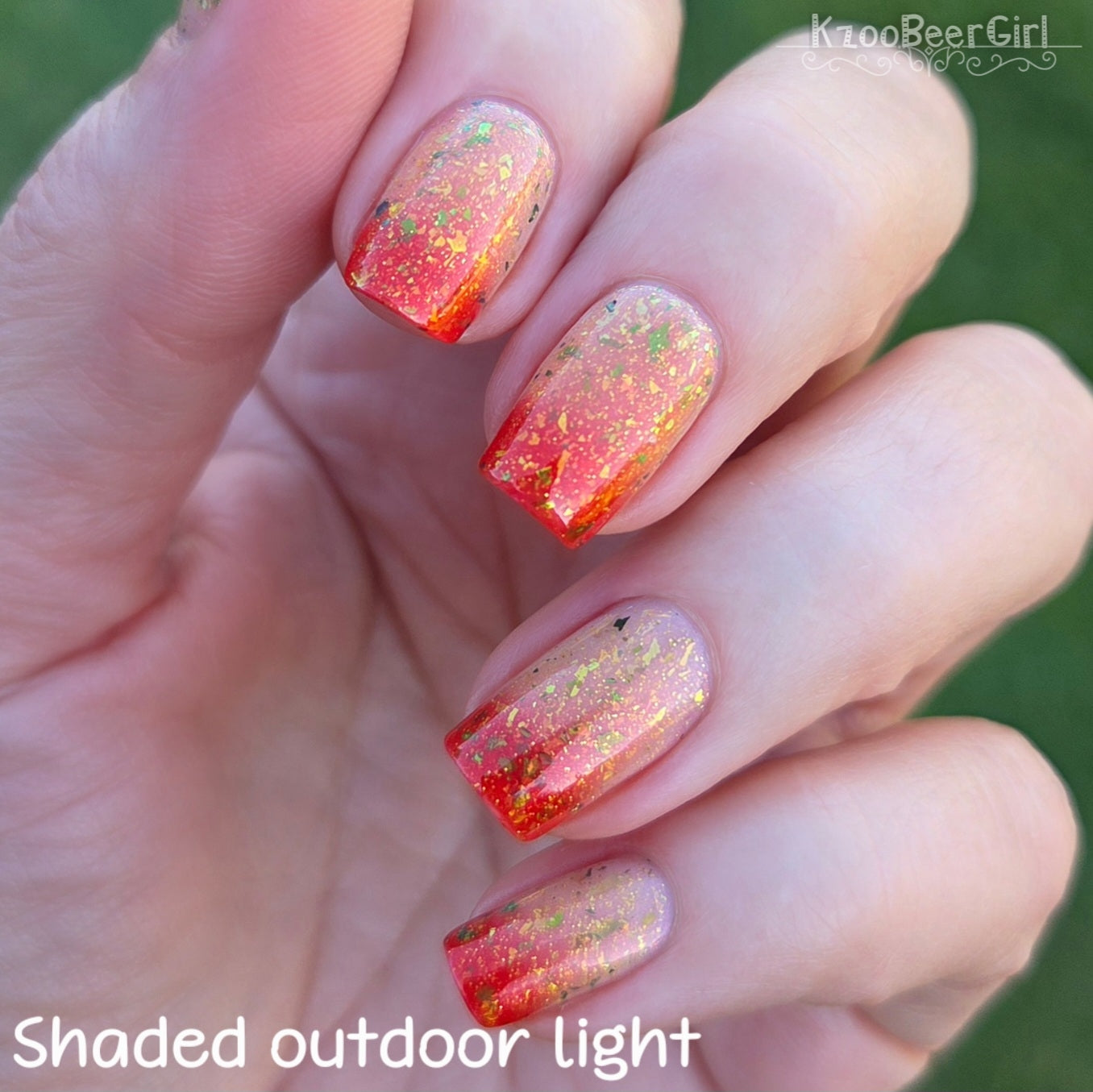 HOLIDAY'S ARE FLAME-BOYANT (THERMAL)