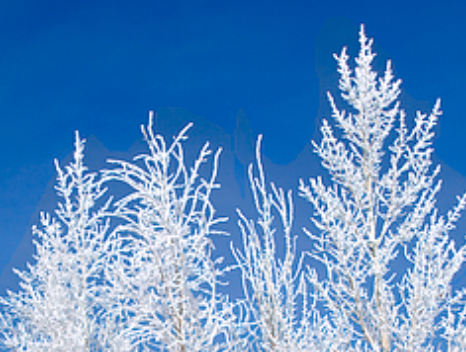 FROSTED WONDERLAND - A MINI WINTER ADVENT CALENDAR